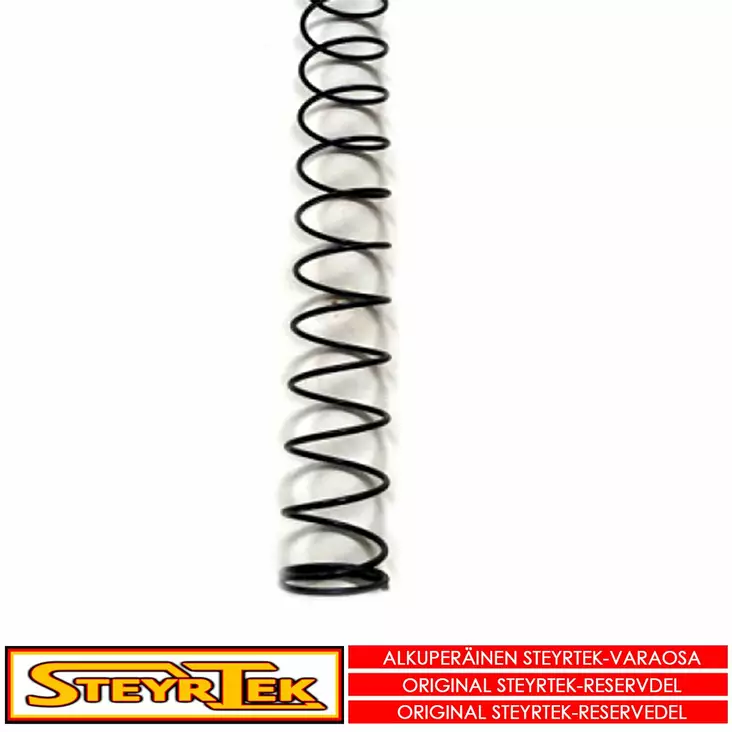 Kuusikulmainen jousi T01 - Huolto- ja varaosat rengaskoneet - STCT011000000 - 1