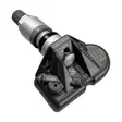 Intellisens TPMS-rengaspaineanturi TESLA Bluetooth, hopeinen venttiili - TPMS rengaspaineanturit - TPMSRDE255V21 - 1
